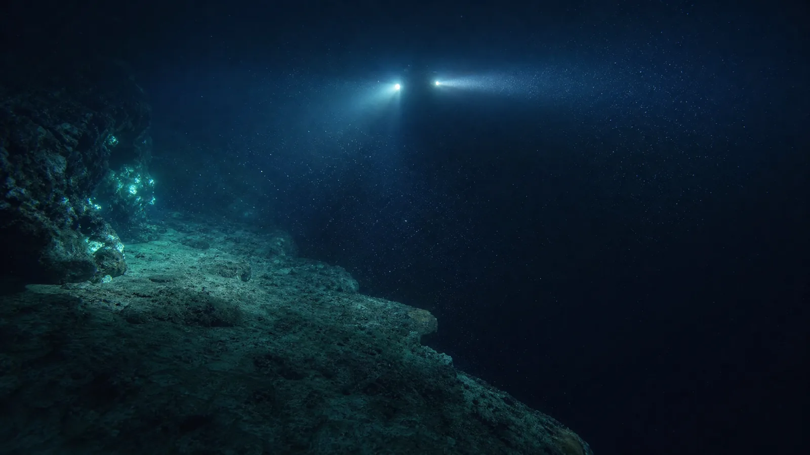 The lip of a deep ocean trench, dive beams crossing in marine snow